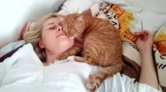 У ліжку з кішкою: чому домашні тварини не можуть спати з власником